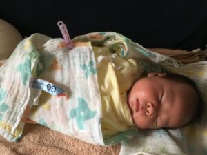 おくるみ　巻き方 早産　低出生体重　胎児発育不全